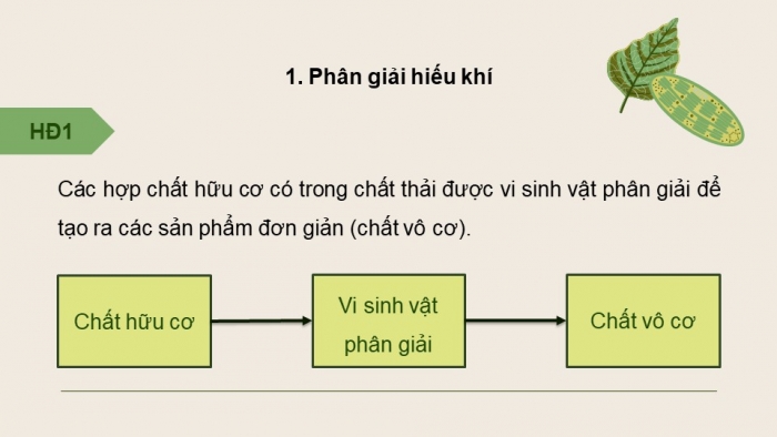 Giáo án điện tử chuyên đề Sinh học 10 chân trời Bài 11: Vi sinh vật trong phân huỷ các hợp chất