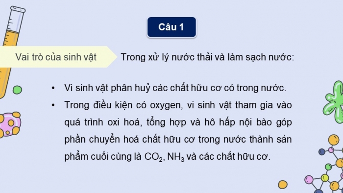 Giáo án điện tử chuyên đề Sinh học 10 chân trời Ôn tập CĐ 3