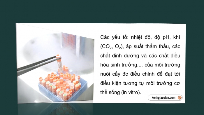 Giáo án điện tử chuyên đề Sinh học 10 cánh diều Bài 4: Cơ sở công nghệ tế bào động vật và ứng dụng