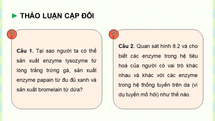 Giáo án điện tử chuyên đề Sinh học 10 cánh diều Bài 8: Sản xuất enzyme tự nhiên