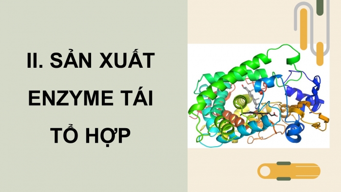 Giáo án điện tử chuyên đề Sinh học 10 cánh diều Bài 9: Sản xuất enzyme tái tổ hợp