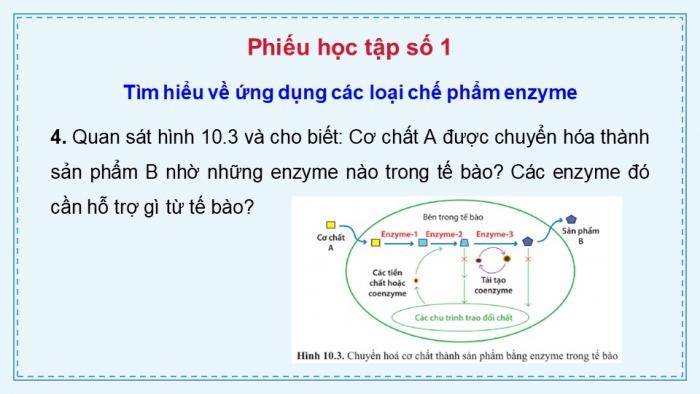 Giáo án điện tử chuyên đề Sinh học 10 cánh diều Bài 10: Ứng dụng và triển vọng của công nghệ enzyme