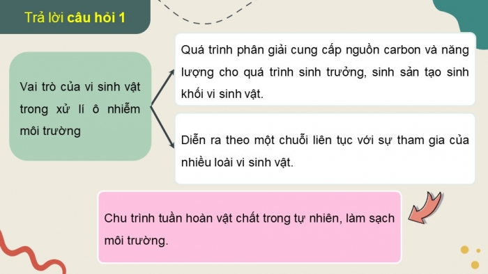 Giáo án điện tử chuyên đề Sinh học 10 cánh diều Bài 11: Khái quát về vi sinh vật trong xử lí ô nhiễm môi trường