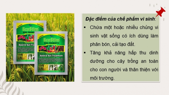 Giáo án điện tử chuyên đề Công nghệ trồng trọt 10 cánh diều Bài 4: Ứng dụng công nghệ sinh học trong sản xuất chế phẩm sinh học