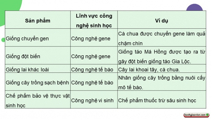 Giáo án điện tử chuyên đề Công nghệ trồng trọt 10 cánh diều Ôn tập CĐ 1