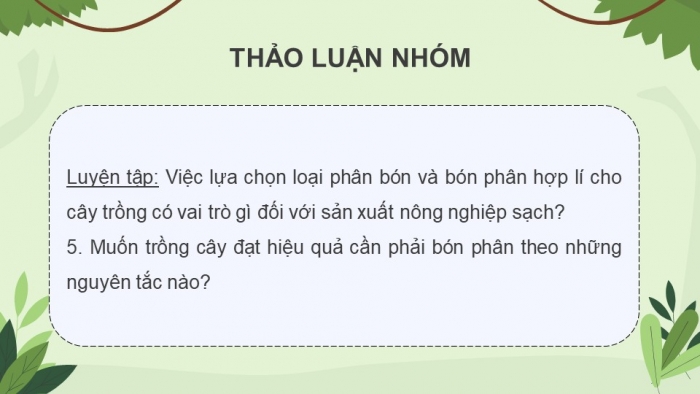 Giáo án điện tử chuyên đề Sinh học 11 chân trời Bài 2: Biện pháp kĩ thuật sử dụng dinh dưỡng khoáng để tăng năng suất cây trồng và tạo nền nông nghiệp sạch