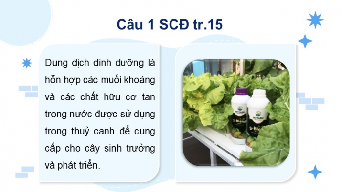 Giáo án điện tử chuyên đề Sinh học 11 chân trời Bài 3: Thuỷ canh theo hướng phát triển nông nghiệp sạch