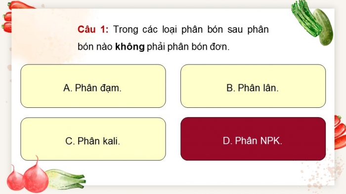 Giáo án điện tử chuyên đề Sinh học 11 chân trời Ôn tập CĐ 1