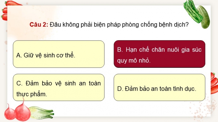 Giáo án điện tử chuyên đề Sinh học 11 chân trời Ôn tập CĐ 2