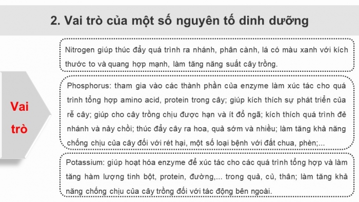 Giáo án điện tử chuyên đề Hoá học 11 cánh diều Bài 2: Phân bón vô cơ