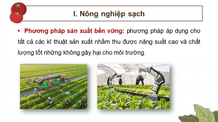 Giáo án điện tử chuyên đề Sinh học 11 cánh diều Bài 2: Nông nghiệp sạch