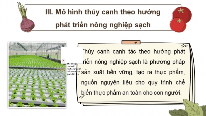 Giáo án điện tử chuyên đề Sinh học 11 cánh diều Bài 2: Nông nghiệp sạch (P2)