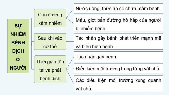 Giáo án điện tử chuyên đề Sinh học 11 cánh diều Bài 5: Nguyên nhân lây nhiễm bệnh dịch ở người