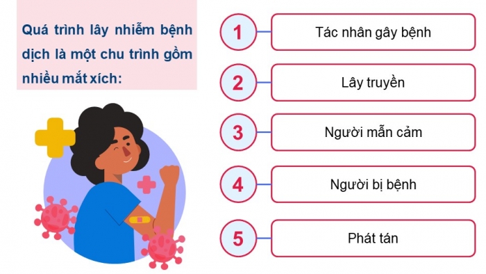 Giáo án điện tử chuyên đề Sinh học 11 cánh diều Bài 6: Các biện pháp phòng chống bệnh dịch ở người