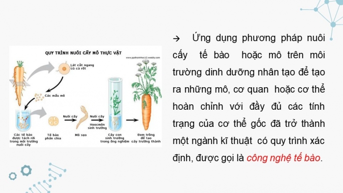 Giáo án điện tử chuyên đề Sinh học 10 chân trời Bài 1: Khái quát về công nghệ tế bào