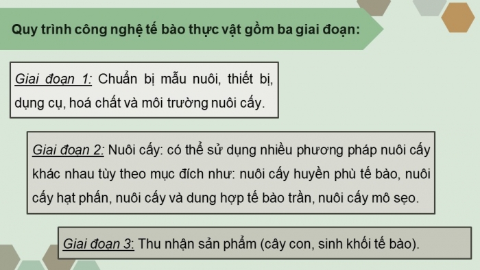 Giáo án điện tử chuyên đề Sinh học 10 chân trời Bài 2: Công nghệ tế bào thực vật và thành tựu