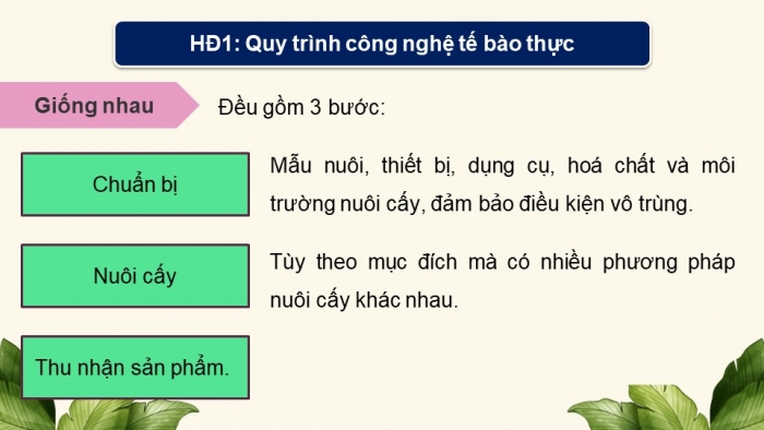 Giáo án điện tử chuyên đề Sinh học 10 chân trời Bài 3: Công nghệ tế bào động vật và thành tựu