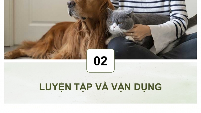 Giáo án điện tử chuyên đề Công nghệ chăn nuôi 11 cánh diều Ôn tập CĐ 2