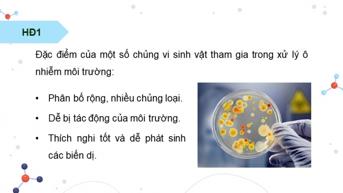 Giáo án điện tử chuyên đề Sinh học 10 chân trời Bài 10: Vai trò của vi sinh vật trong xử lí ô nhiễm môi trường