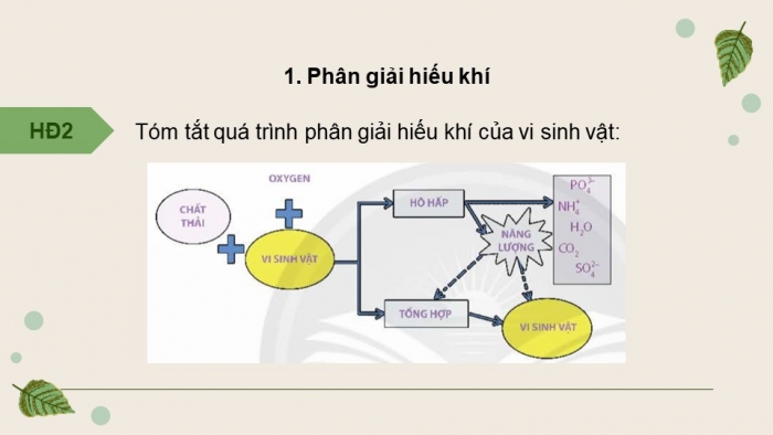 Giáo án điện tử chuyên đề Sinh học 10 chân trời Bài 11: Vi sinh vật trong phân huỷ các hợp chất