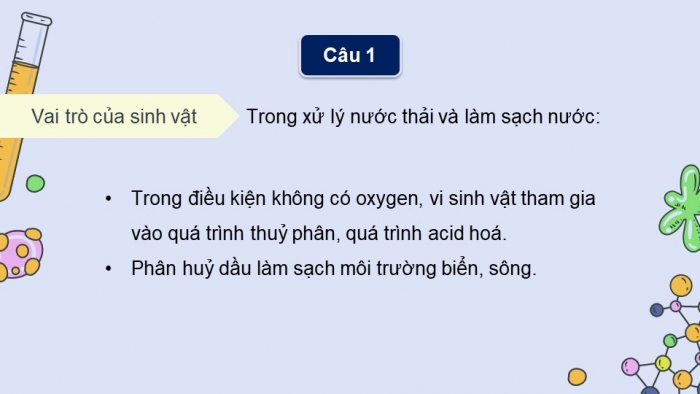 Giáo án điện tử chuyên đề Sinh học 10 chân trời Ôn tập CĐ 3