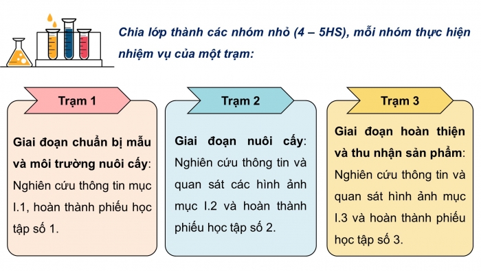 Giáo án điện tử chuyên đề Sinh học 10 cánh diều Bài 3: Các giai đoạn của công nghệ tế bào thực vật