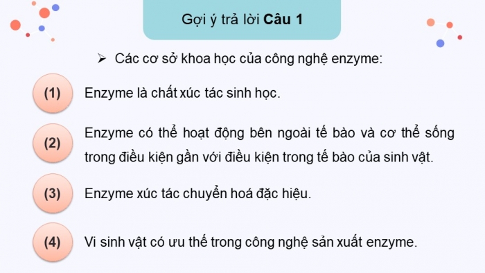 Giáo án điện tử chuyên đề Sinh học 10 cánh diều Ôn tập CĐ 2