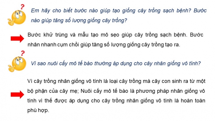 Giáo án điện tử chuyên đề Công nghệ trồng trọt 10 cánh diều Bài 3: Ứng dụng công nghệ sinh học trong chọn tạo giống cây trồng