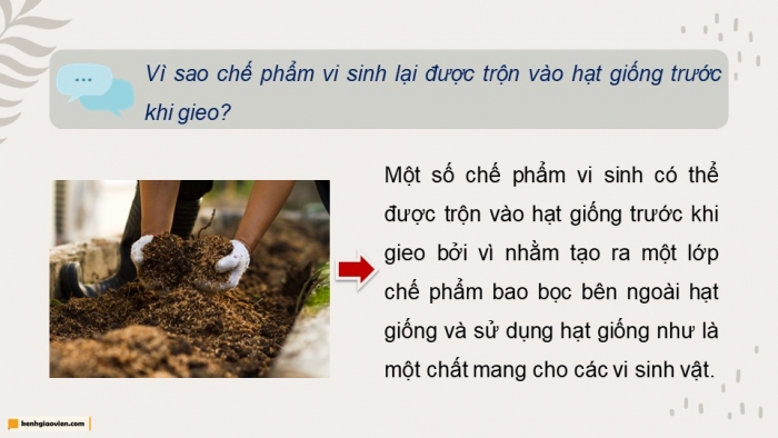 Giáo án điện tử chuyên đề Công nghệ trồng trọt 10 cánh diều Bài 4: Ứng dụng công nghệ sinh học trong sản xuất chế phẩm sinh học