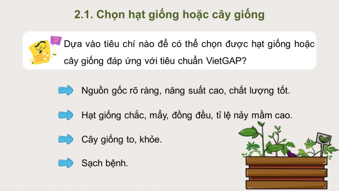 Giáo án điện tử chuyên đề Công nghệ trồng trọt 10 cánh diều Bài 11: Quy trình trồng trọt theo tiêu chuẩn VietGAP