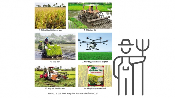 Giáo án điện tử chuyên đề Công nghệ trồng trọt 10 cánh diều Bài 12: Một số mô hình trồng trọt theo tiêu chuẩn VietGAP