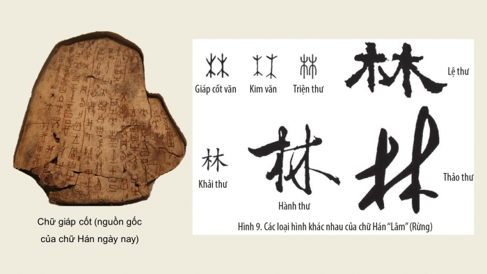 Giáo án điện tử Lịch sử 10 cánh diều Bài 4: Khái niệm văn minh. Một số nền văn minh phương Đông thời cổ – trung đại (P2)