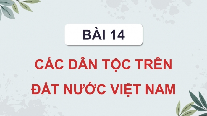 Giáo án điện tử Lịch sử 10 cánh diều Bài 14: Các dân tộc trên đất nước Việt Nam (P1)