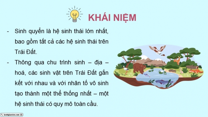 Giáo án điện tử Sinh học 12 kết nối Bài 31: Sinh quyển, khu sinh học và chu trình sinh – địa – hoá