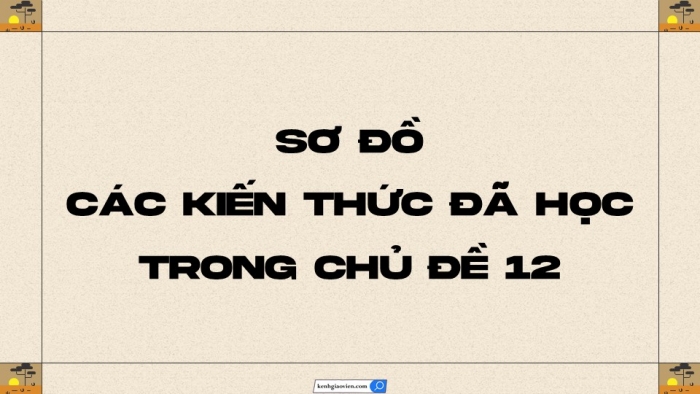 Giáo án điện tử KHTN 9 cánh diều - Phân môn Sinh học Bài tập (Chủ đề 12)
