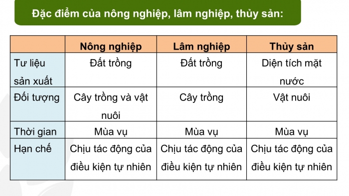 Giáo án điện tử địa lí 10 chân trời bài 25: Vai trò, đặc điểm, các nhân tố ảnh hưởng tới sự phát triển và phân bố nông nghiệp, lâm nghiệp, thủy sản