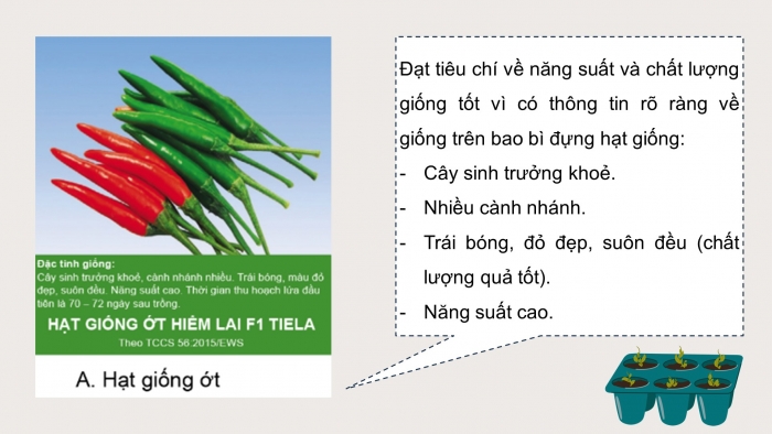 Giáo án điện tử chuyên đề Công nghệ trồng trọt 10 cánh diều Bài 11: Quy trình trồng trọt theo tiêu chuẩn VietGAP