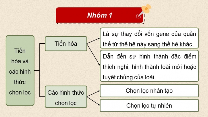 Giáo án điện tử KHTN 9 cánh diều - Phân môn Sinh học Bài tập (Chủ đề 12)