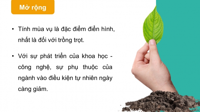 Giáo án điện tử địa lí 10 chân trời bài 25: Vai trò, đặc điểm, các nhân tố ảnh hưởng tới sự phát triển và phân bố nông nghiệp, lâm nghiệp, thủy sản