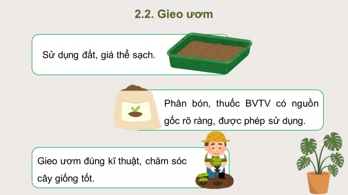 Giáo án điện tử chuyên đề Công nghệ trồng trọt 10 cánh diều Bài 11: Quy trình trồng trọt theo tiêu chuẩn VietGAP