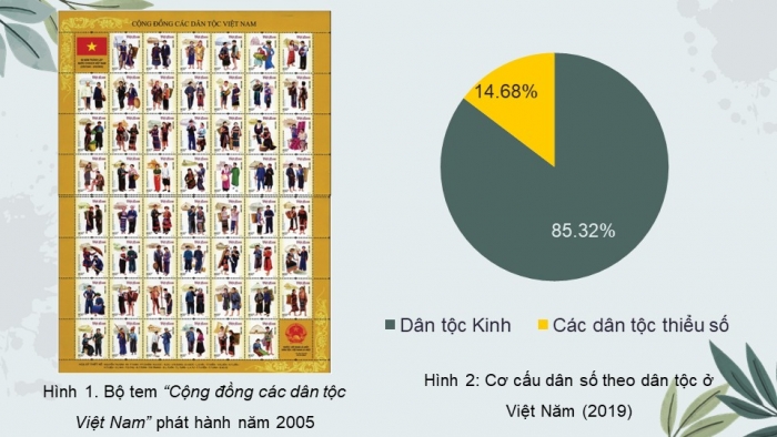 Giáo án điện tử Lịch sử 10 cánh diều Bài 14: Các dân tộc trên đất nước Việt Nam (P1)