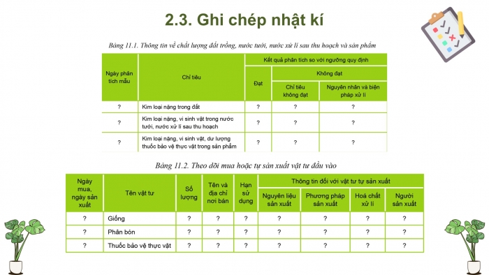 Giáo án điện tử chuyên đề Công nghệ trồng trọt 10 cánh diều Bài 11: Quy trình trồng trọt theo tiêu chuẩn VietGAP