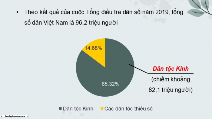 Giáo án điện tử Lịch sử 10 cánh diều Bài 14: Các dân tộc trên đất nước Việt Nam (P1)