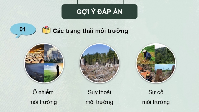 Giáo án điện tử Quốc phòng an ninh 11 kết nối Bài 4: Một số vấn đề về vi phạm pháp luật bảo vệ môi trường
