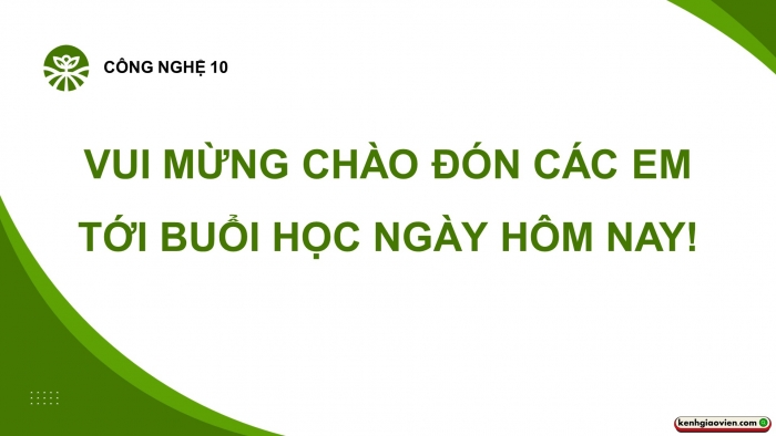 Giáo án điện tử chuyên đề Công nghệ trồng trọt 10 cánh diều Bài 11: Quy trình trồng trọt theo tiêu chuẩn VietGAP