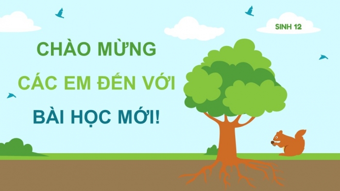 Giáo án điện tử Sinh học 12 kết nối Bài 31: Sinh quyển, khu sinh học và chu trình sinh – địa – hoá