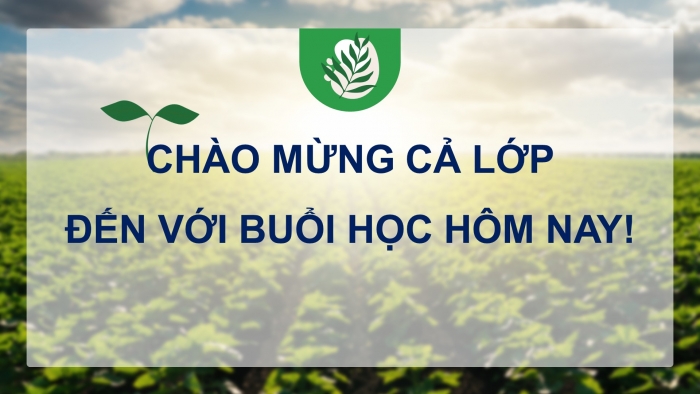 Giáo án điện tử địa lí 10 chân trời bài 26: Địa lí ngành nông nghiệp, lâm nghiệp, thủy sản