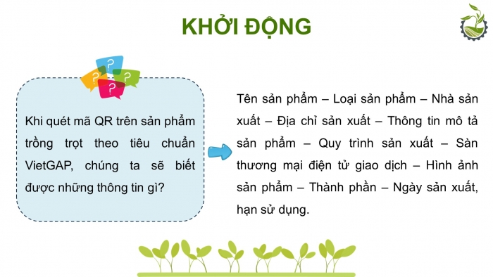 Giáo án điện tử chuyên đề Công nghệ trồng trọt 10 cánh diều Bài 11: Quy trình trồng trọt theo tiêu chuẩn VietGAP