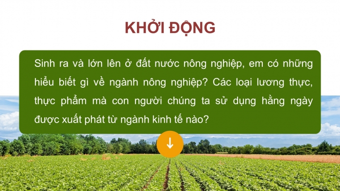Giáo án điện tử địa lí 10 chân trời bài 25: Vai trò, đặc điểm, các nhân tố ảnh hưởng tới sự phát triển và phân bố nông nghiệp, lâm nghiệp, thủy sản