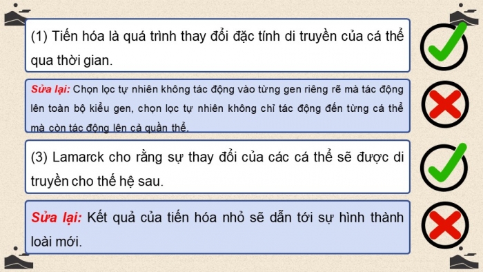 Giáo án điện tử KHTN 9 cánh diều - Phân môn Sinh học Bài tập (Chủ đề 12)